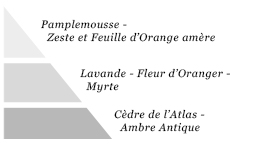 Pyramide olfactive