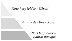 Pyramide olfactive