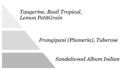 Pyramide olfactive