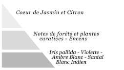 Pyramide olfactive