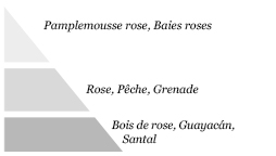 Pyramide olfactive