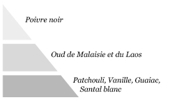 Pyramide olfactive