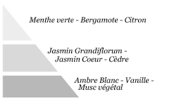 Pyramide olfactive