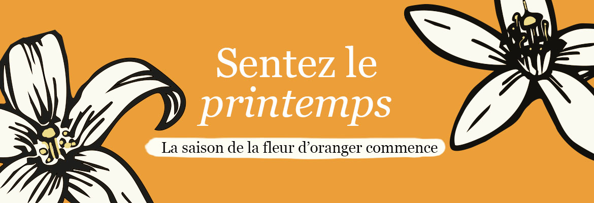 Sentez le printemps. La saison de la fleur d'oranger commence