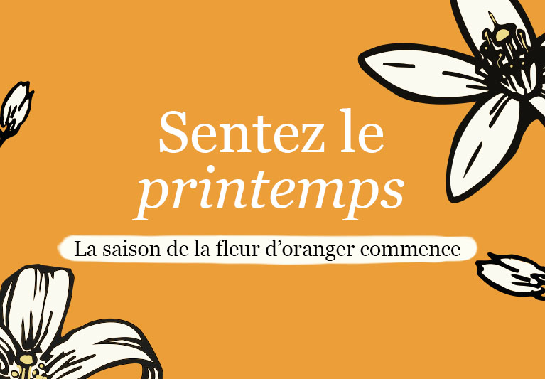 Sentez le printemps. La saison de la fleur d'oranger commence
